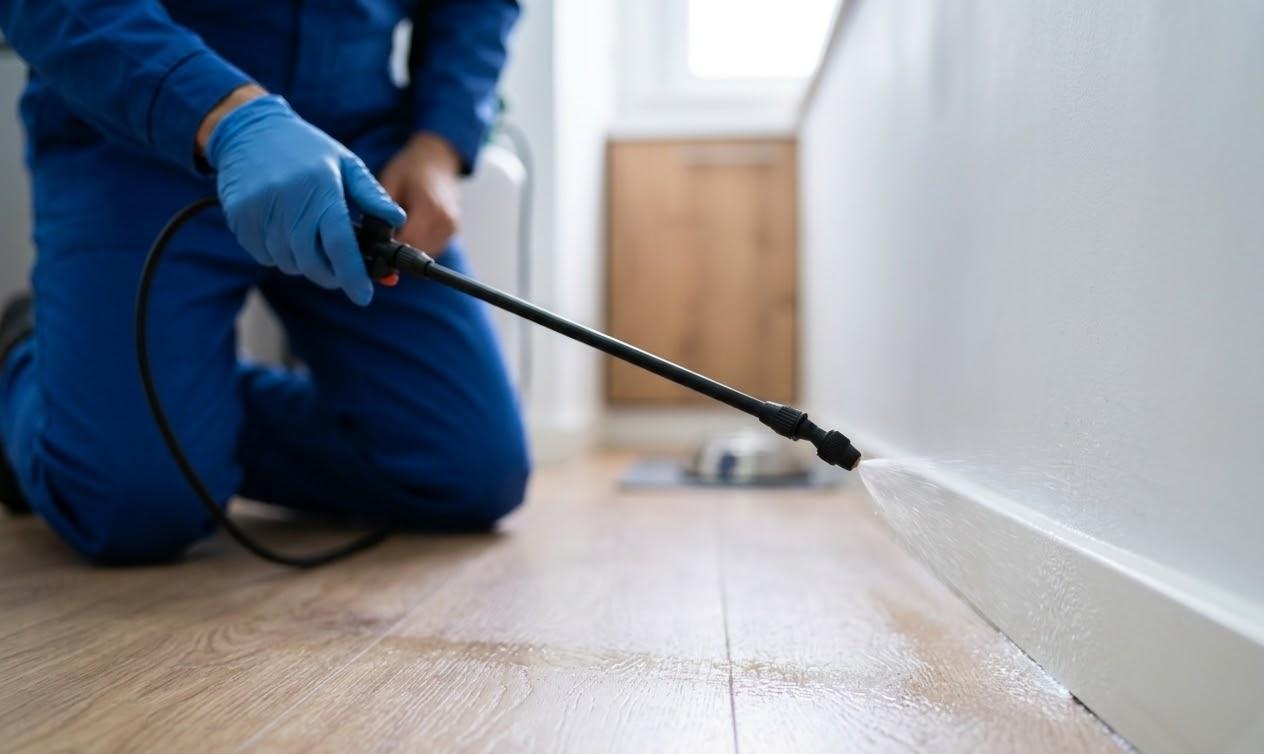 INTERIOR & EXTERIOR TREATMENT