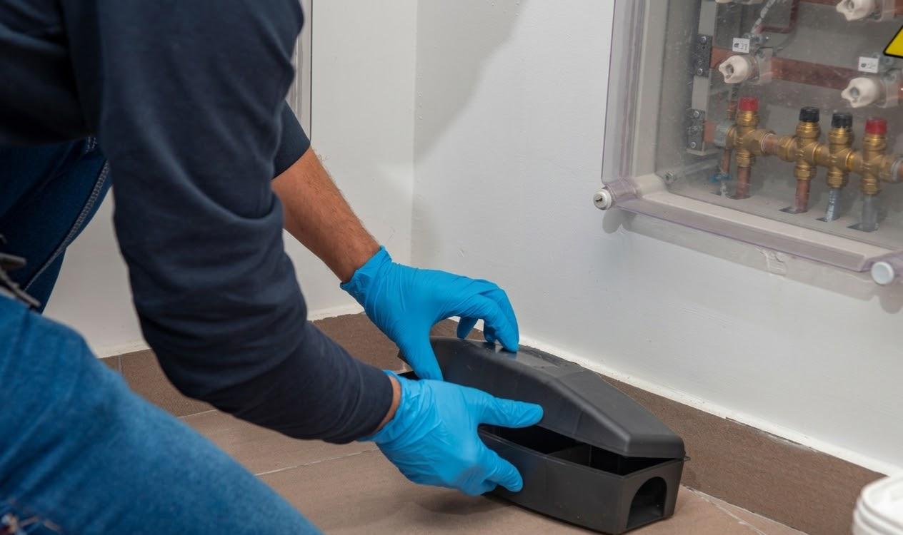 RODENT INSPECTION & BAIT STATIONS